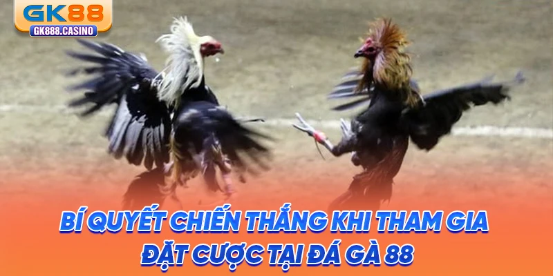 bi-quyet-chien-thang-khi-tham-gia-dat-cuoc-tai-da-ga-88