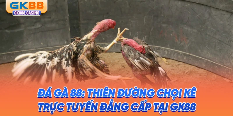 da ga 88 thien duong choi ke truc tuyen dang cap tai gk88