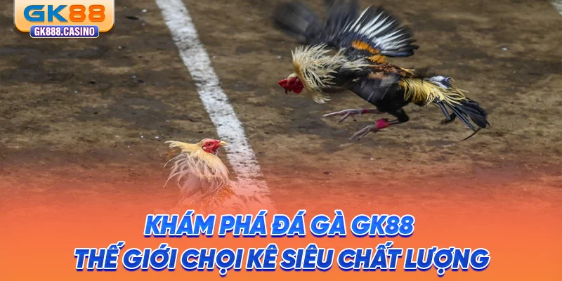 kham-pha-da-ga-gk88-the-gioi-choi-ke-sieu-chat-luong