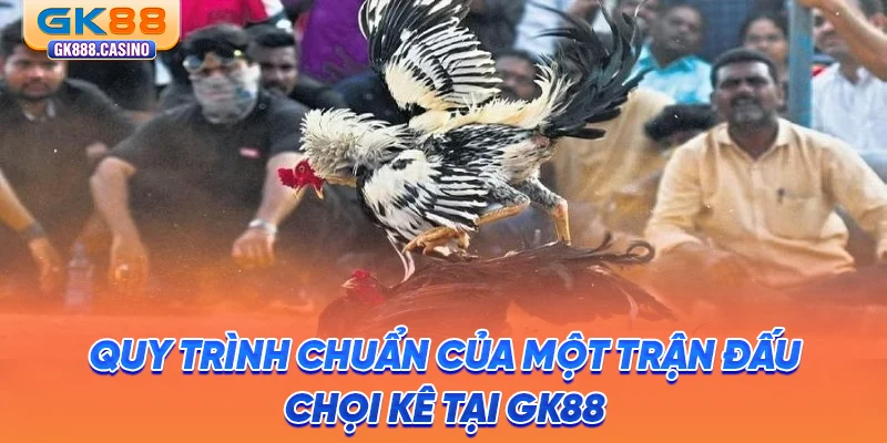 quy-trinh-chuan-cua-mot-tran-dau-choi-ke-tai-gk88